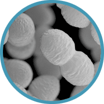 Vancomycin-resistente Enterokokken